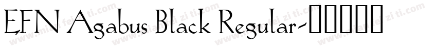 EFN Agabus Black Regular字体转换